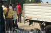 Kundapur :  Speeding bike hits Mahindra pick-up vehicle; rider dies